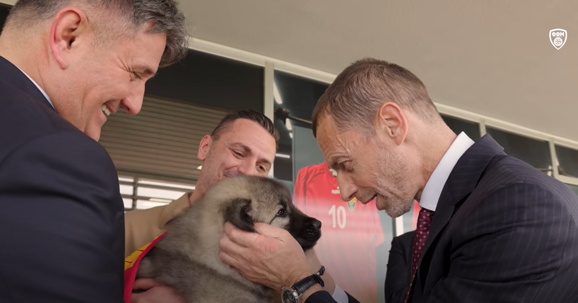 ЧЕФЕРИН ДОБИ – МАКЕДОНСКИ ШАРПЛАНИНЕЦ ЗА ПОДАРОК ОД ФФМ
